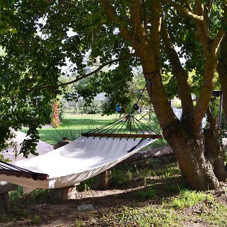 Il Cantico Del Gallo, Wifi, Near Perugia